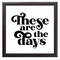 12" x 12" These Are the Days Framed Wall Art, Contemporary Home Décor, Glass Facing and Hanging Hardware Included